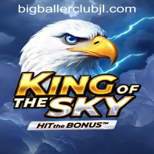 Exploring KingOfTheSky and Its Thrilling Casino Experience